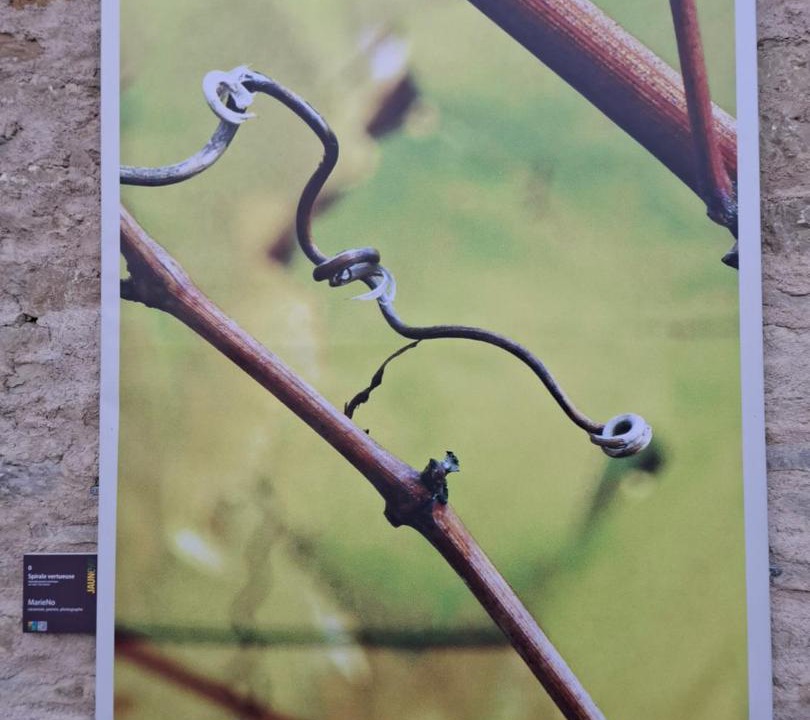 Photo of Others in Chateau-Chalon