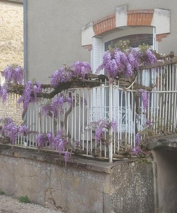 Photo of Others in Accolay