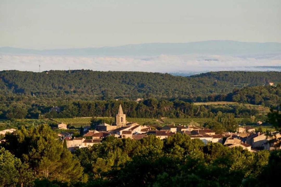 Photo of Others in Malemort-du-Comtat