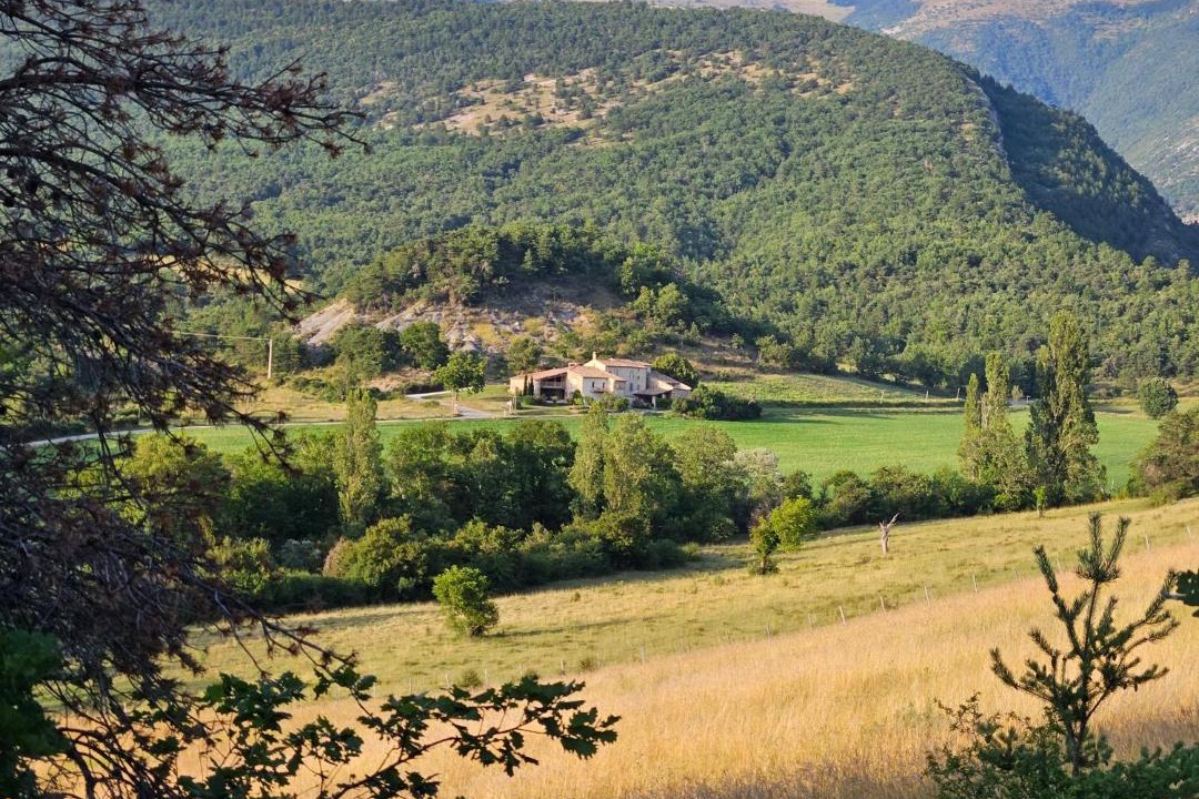 Photo of Others in Bourdeaux