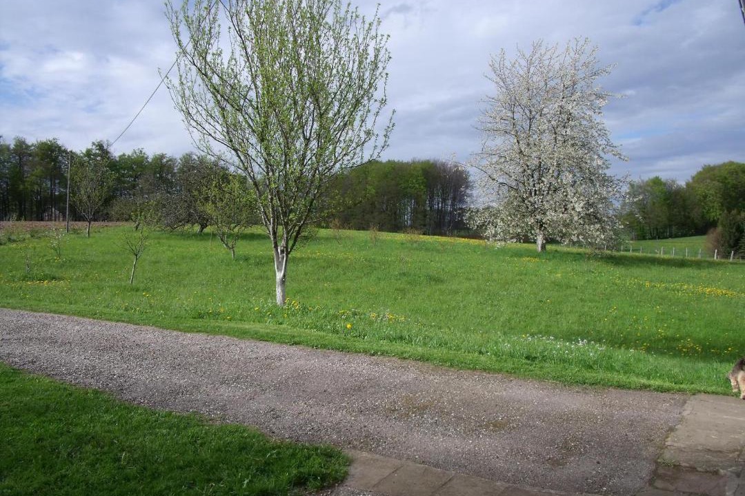 Photo of Others in Plombieres-les-Bains