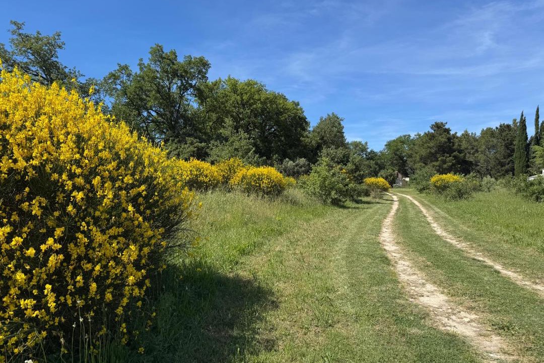 Photo of Outdoor in Caromb