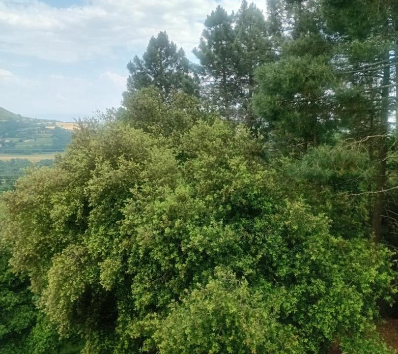 Photo of Others in Saint-Peray