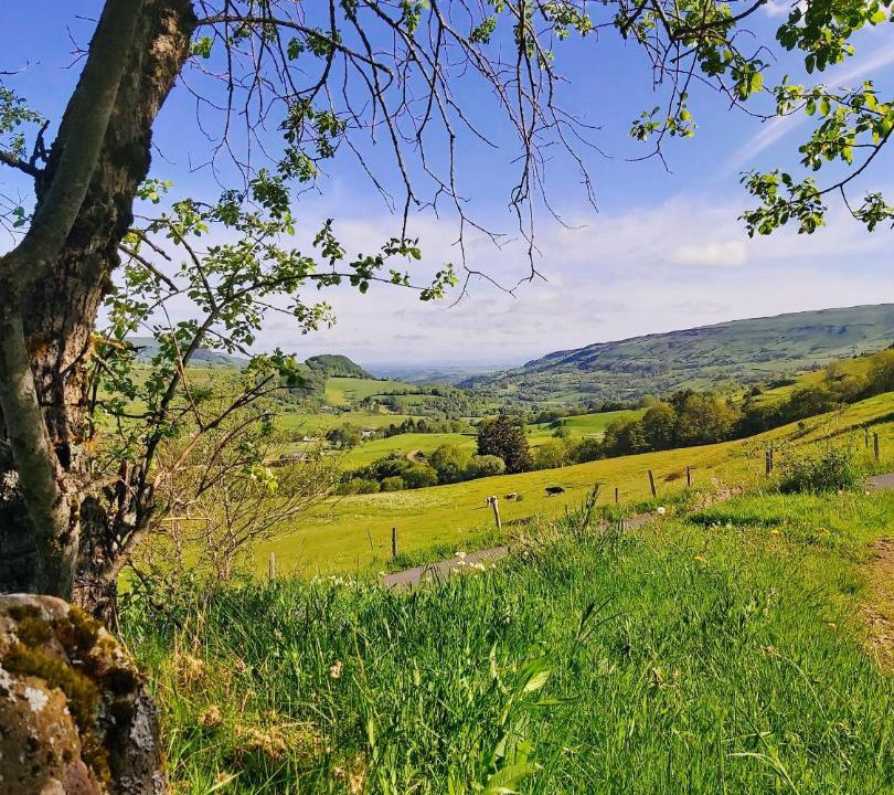 Photo of Others in Riom-es-Montagnes