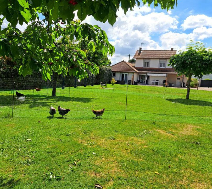 Photo of Others in Renaison