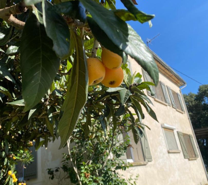 Photo of Others in Drome Sud Provence