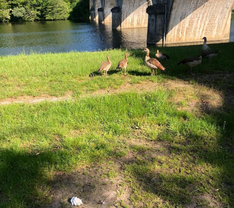 Photo of Others in Frouard