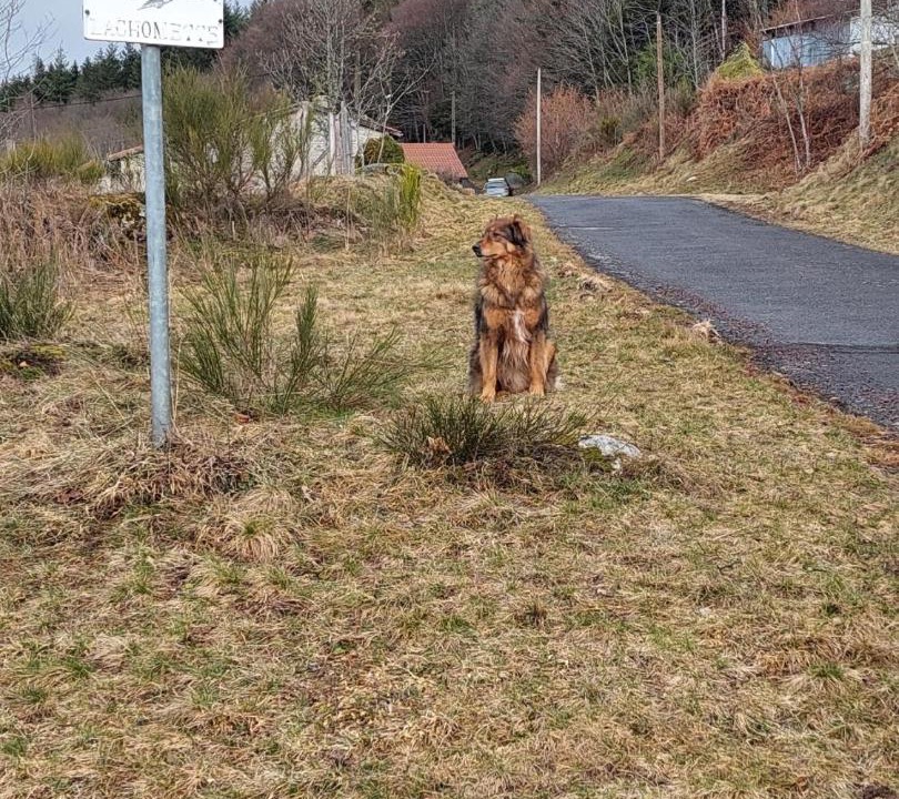 Photo of Others in La Renaudie