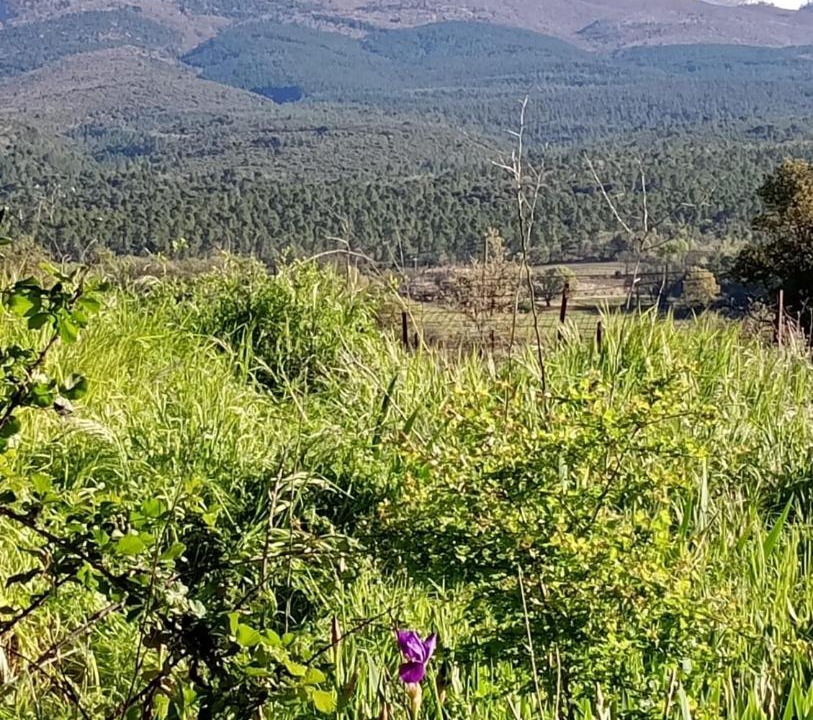 Photo of Outdoor in Bedoin