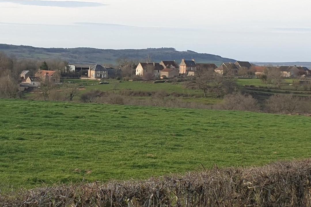 Photo of Buildings in Island