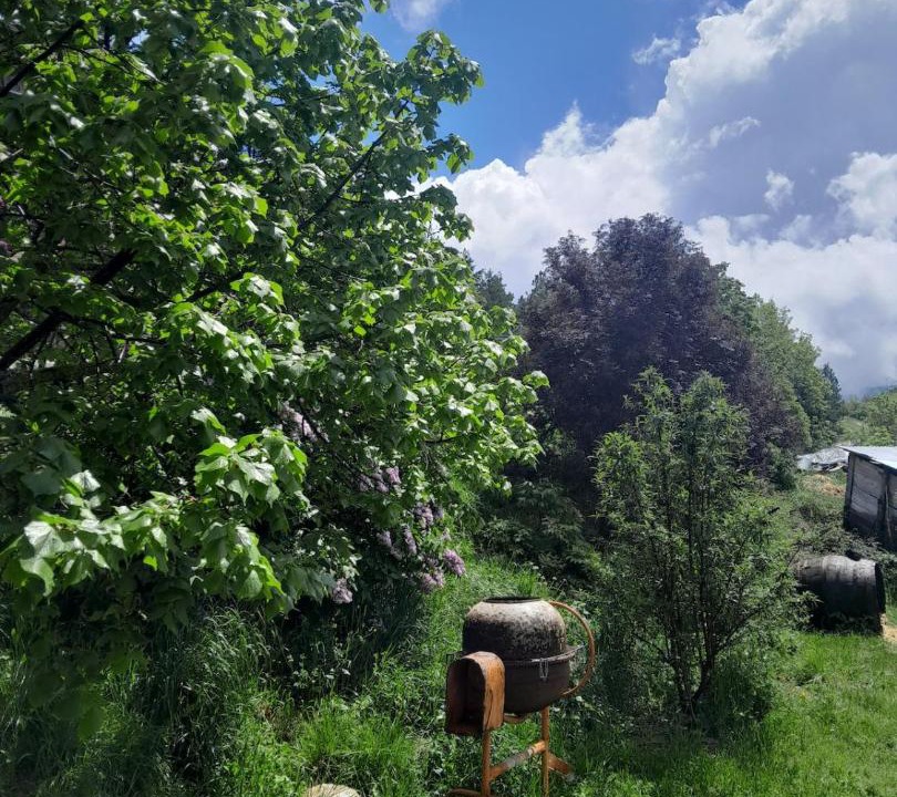 Photo of Others in La Piarre
