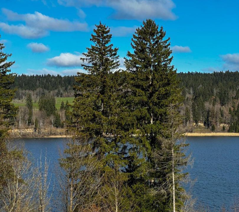 Photo of Others in Malbuisson