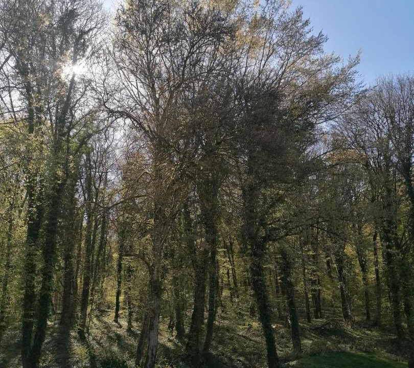 Photo of Others in Longwy Agglomeration