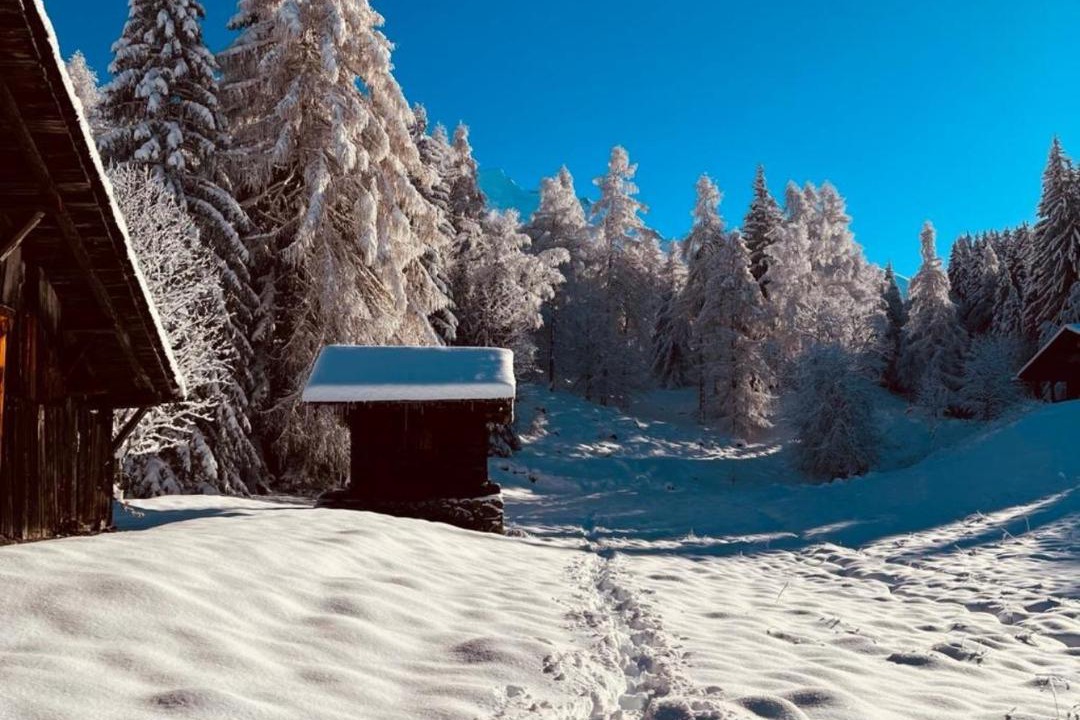 Photo of Others in Les Houches