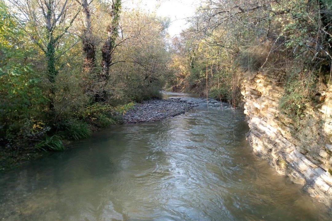 Photo of Others in Lavilledieu