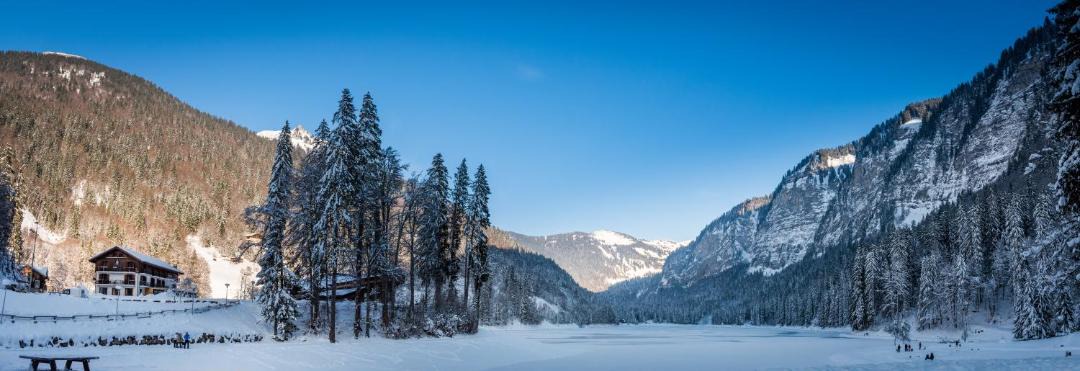 Photo of Others in Montriond