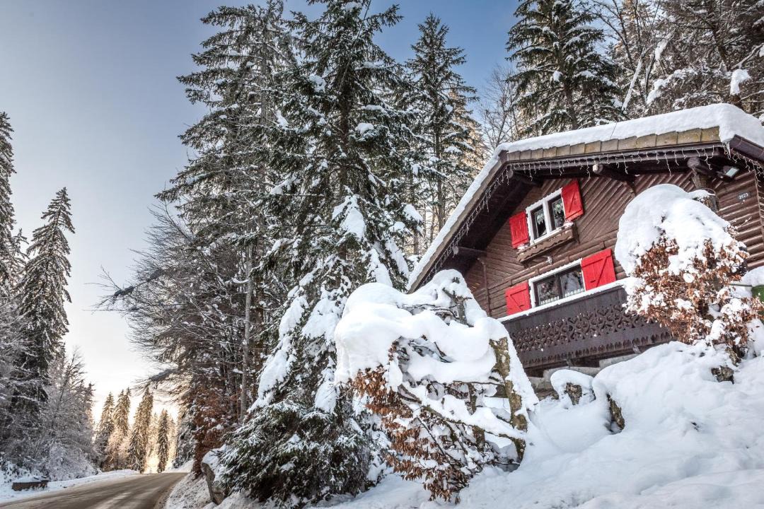 Photo of Others in Montriond