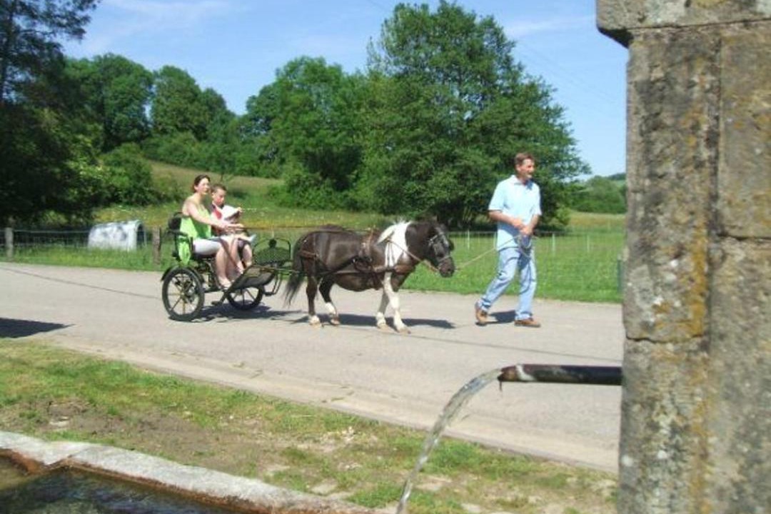 Photo of Others in Esley