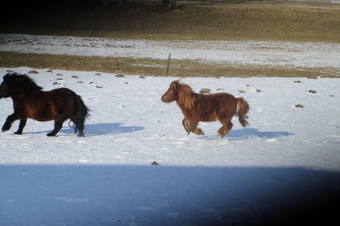 Photo of Others in Esley