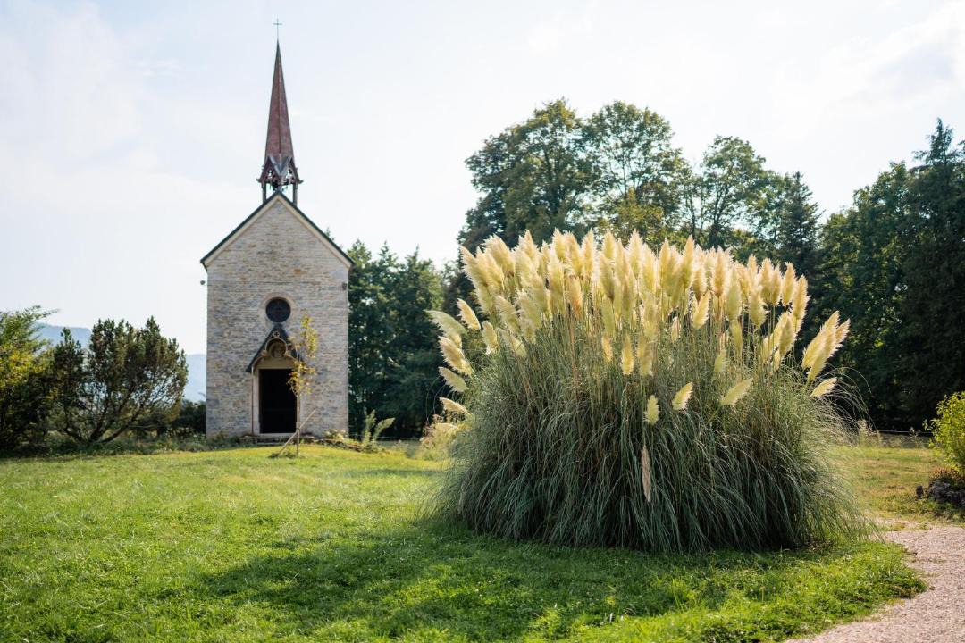 Photo of Others in Roche-lez-Beaupre