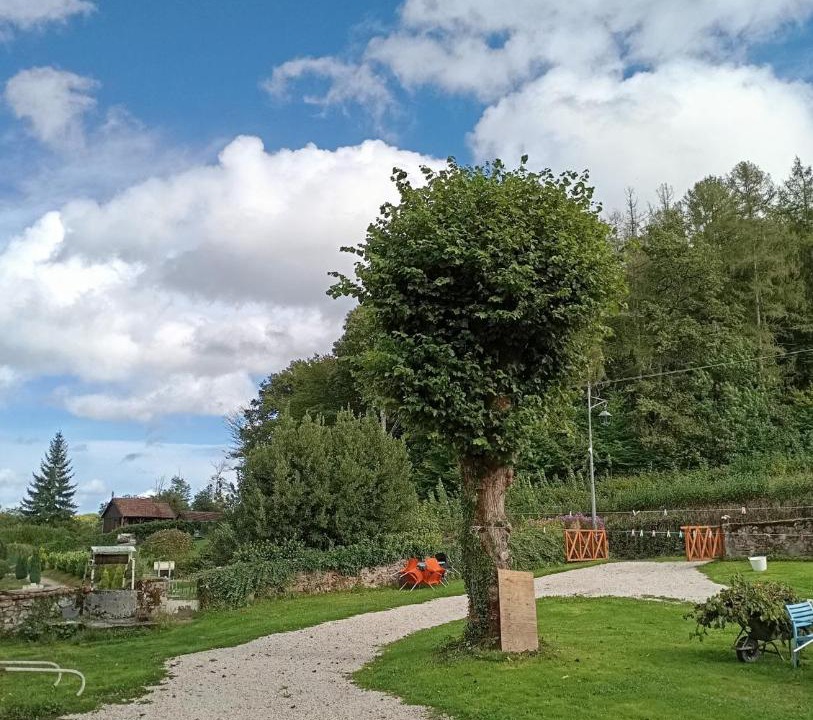 Photo of Others in Larochemillay