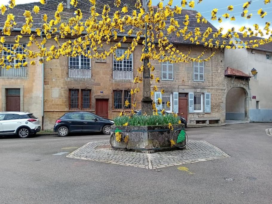 Photo of Others in Arbois