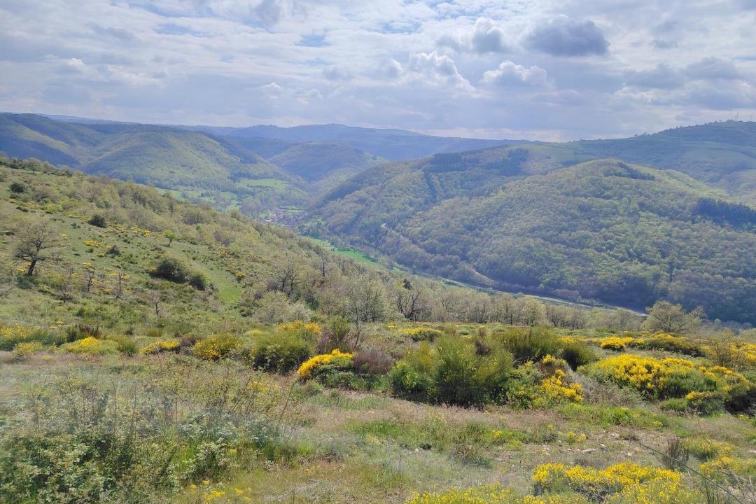 Photo of Others in Massiac