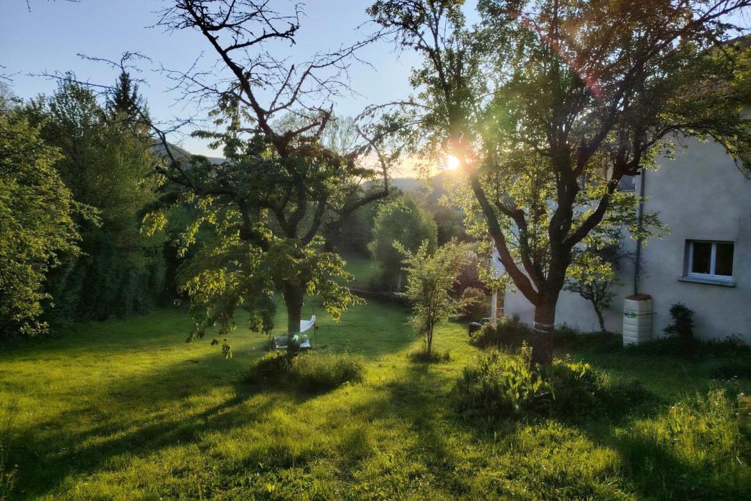 Photo of Others in Massiac