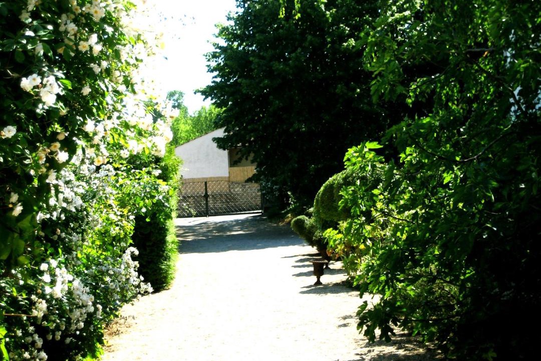 Photo of Others in Ladoix-Serrigny