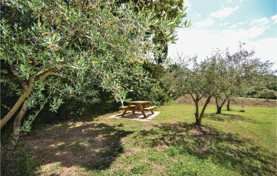 Photo of Others in Montbrison-sur-Lez