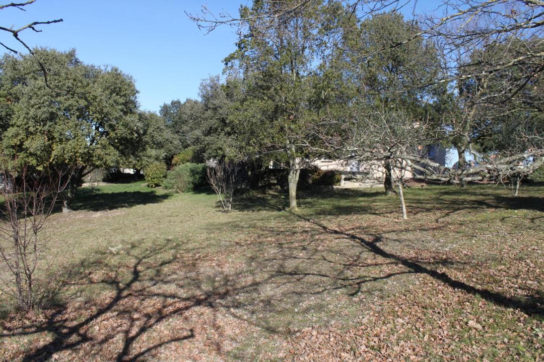 Photo of Others in Villeneuve-de-Berg