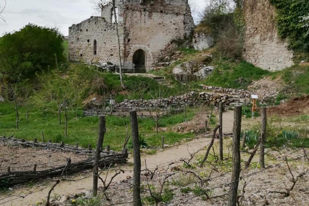 Photo of Others in Salt-en-Donzy