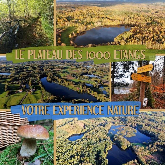 Photo of Others in Ecromagny