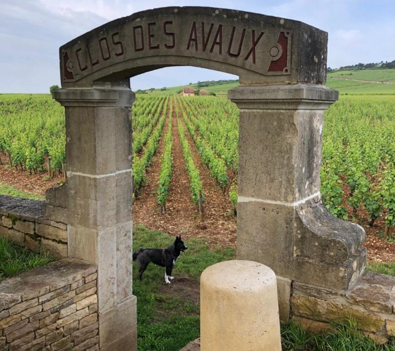 Photo of Others in Beaune