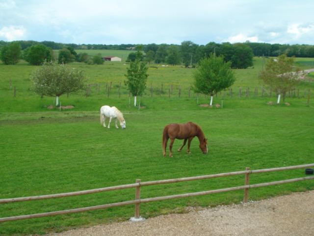 Photo of Others in Tincey-et-Pontrebeau