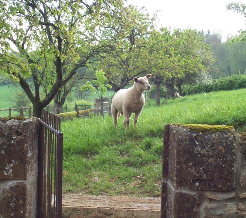 Photo of Others in Anthien