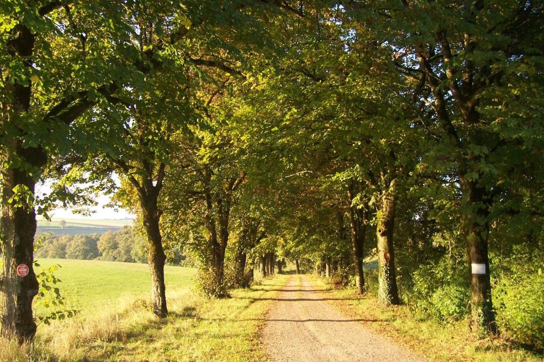 Photo of Others in Anthien