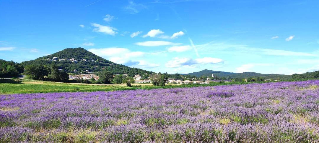 Photo of Others in Montelimar
