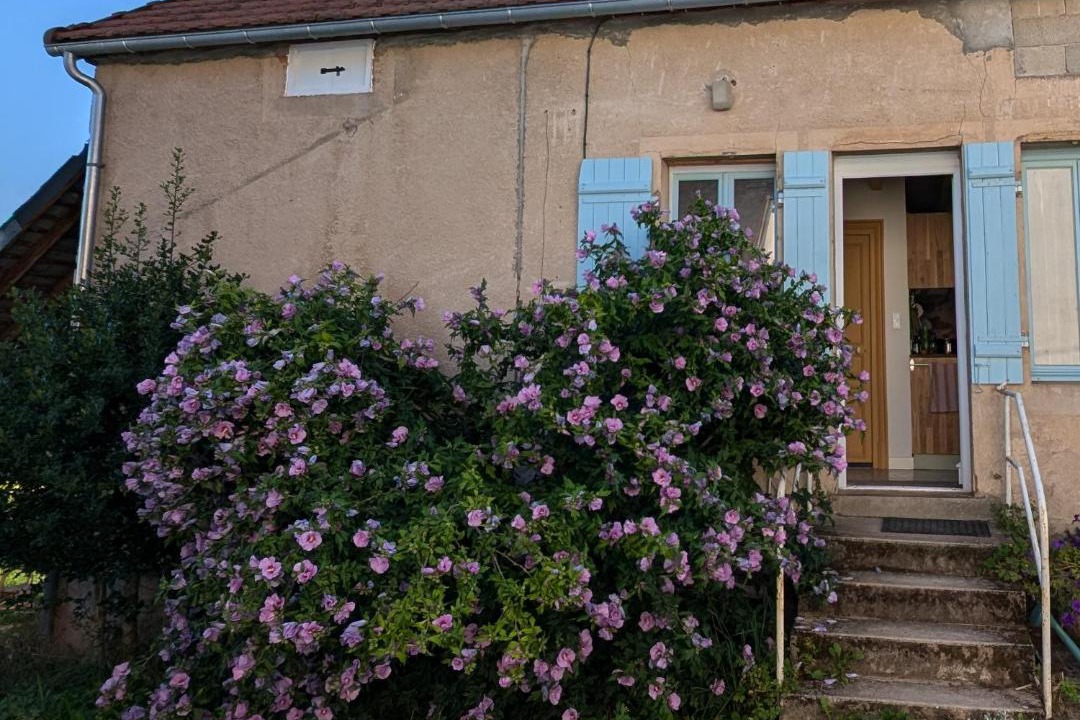 Photo of Others in Chissey-en-Morvan