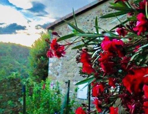 Photo of Others in Vals-les-Bains