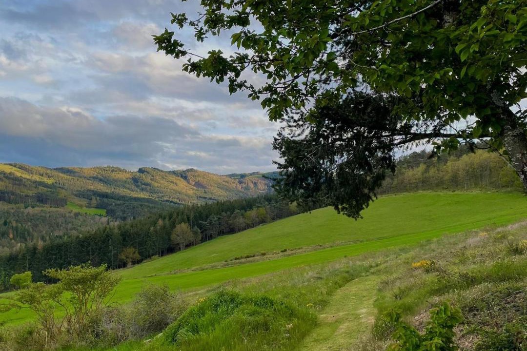 Photo of Others in Langeac