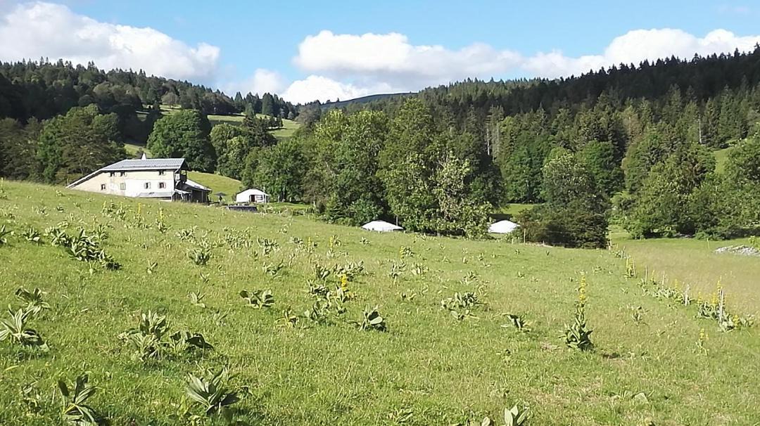 Photo of Others in Rochejean