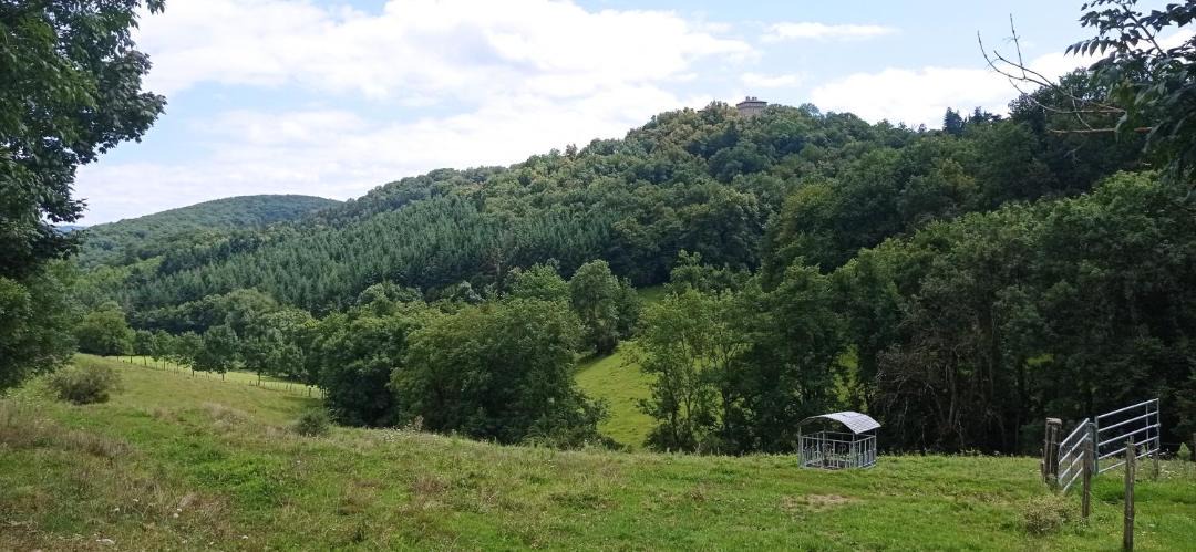 Photo of Others in Brullioles