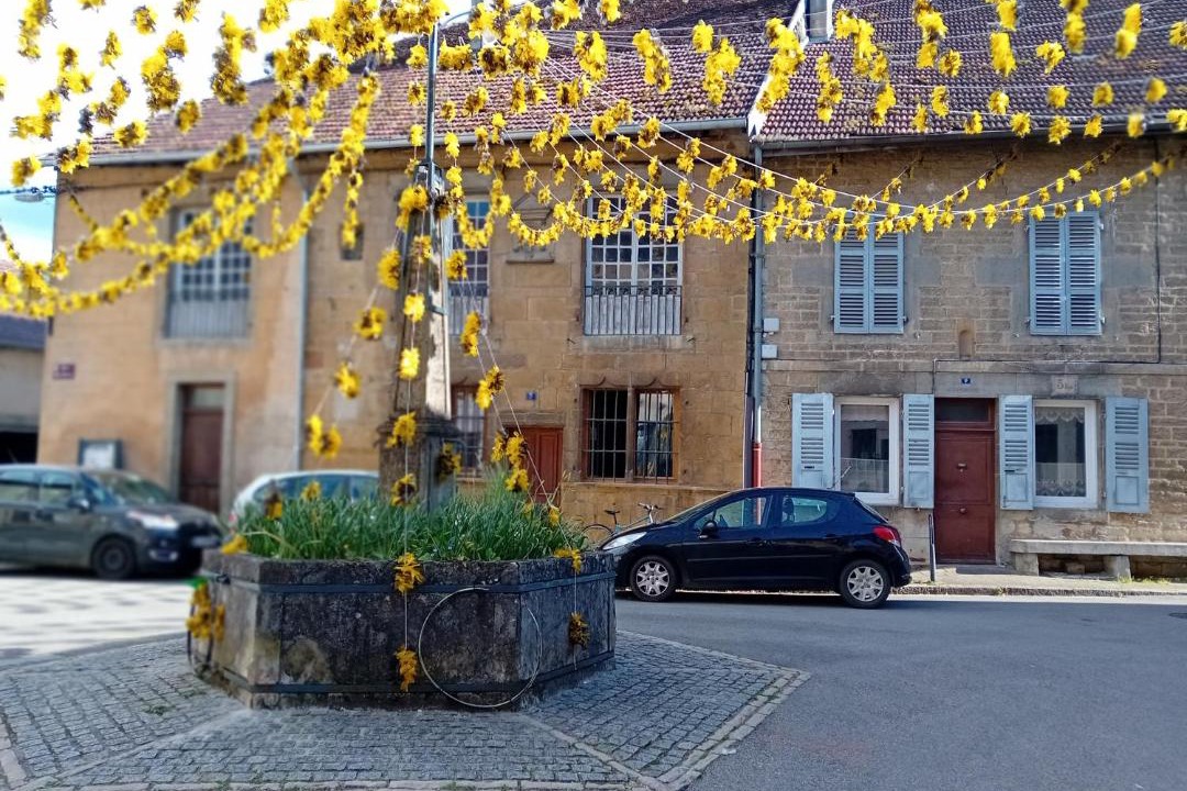 Photo of Others in Arbois