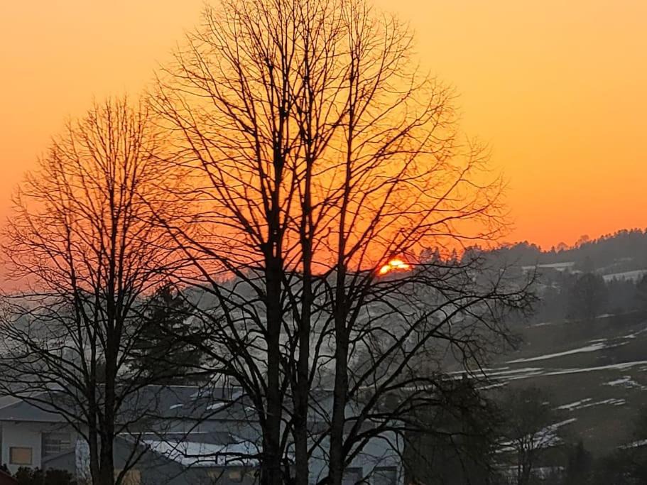Photo of Others in Longevilles-Mont-d'Or