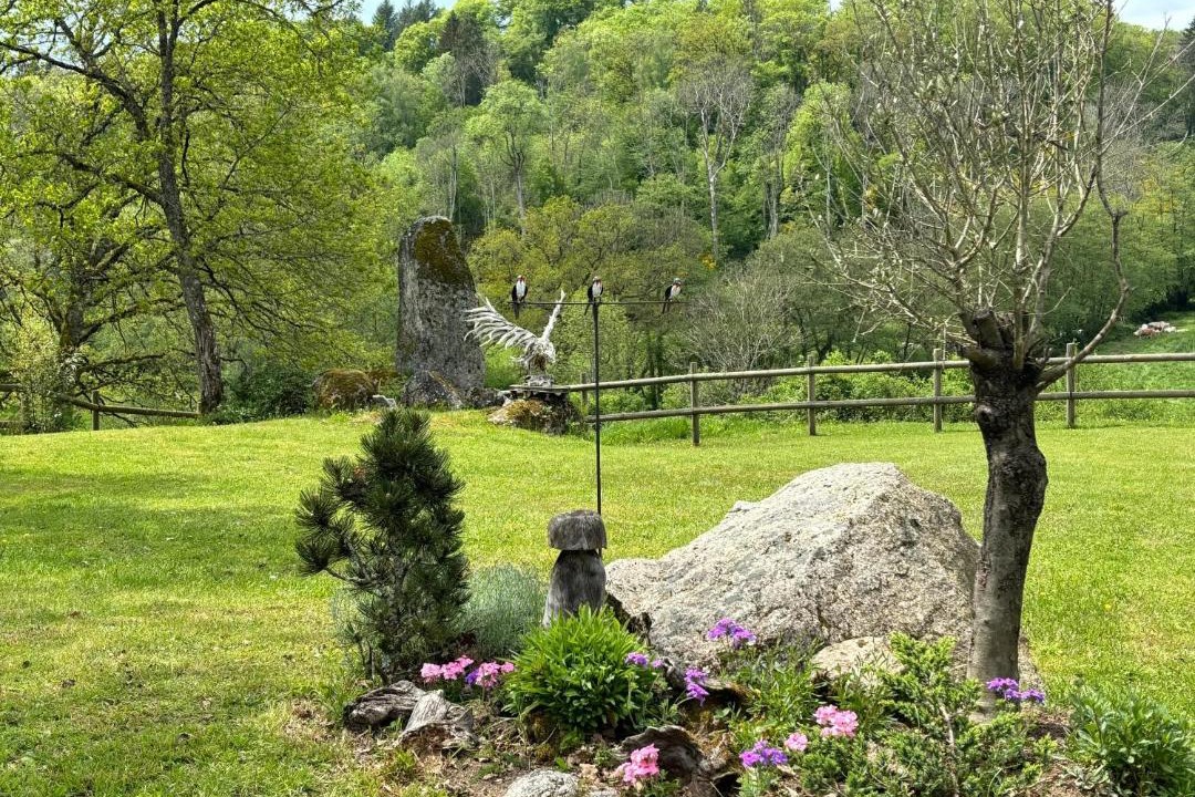 Photo of Others in Alligny-en-Morvan