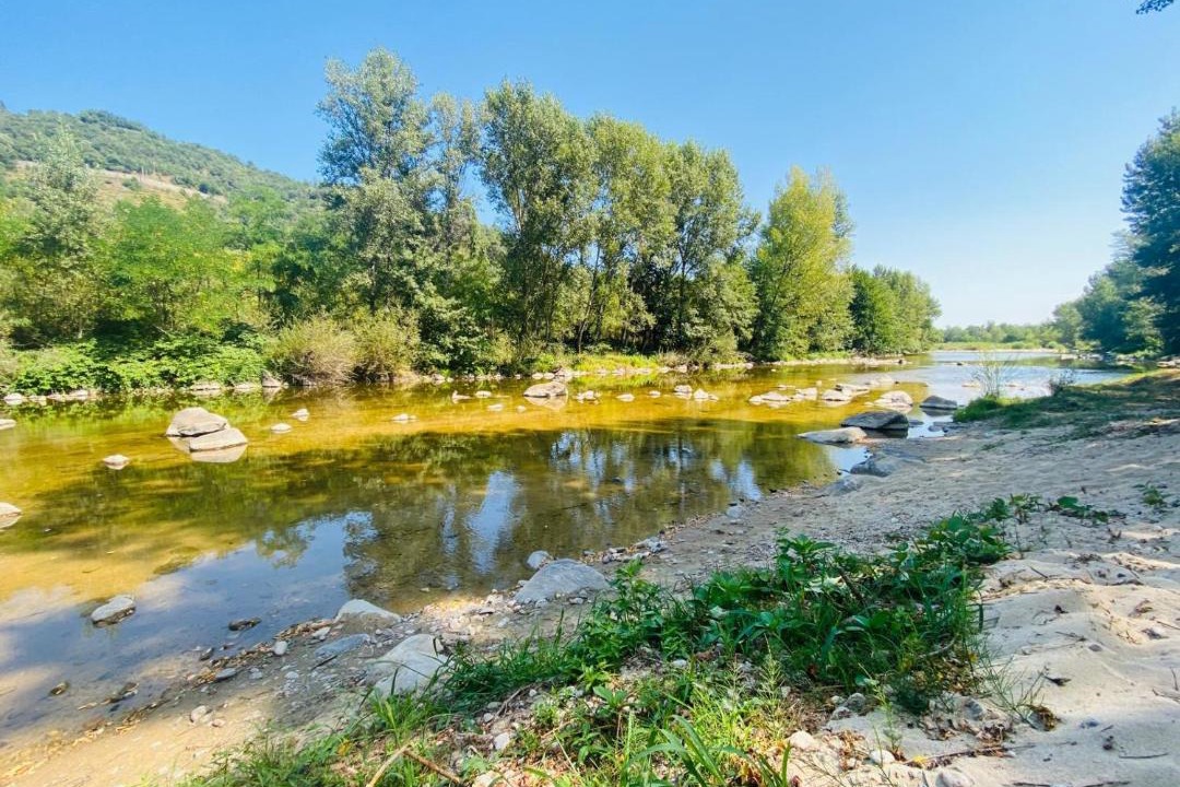 Photo of Others in Tournon-sur-Rhone
