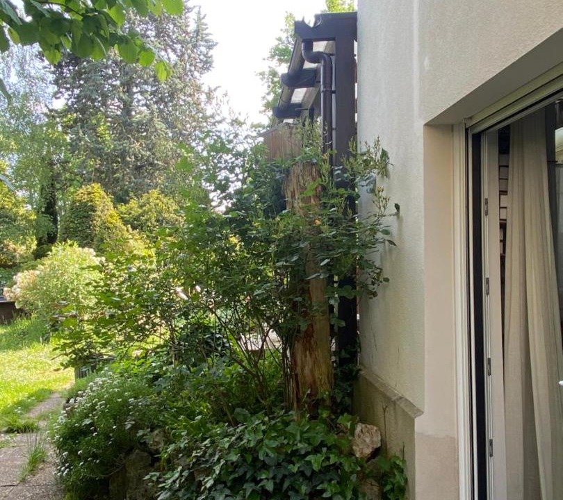 Photo of Others in Villemoisson-sur-Orge