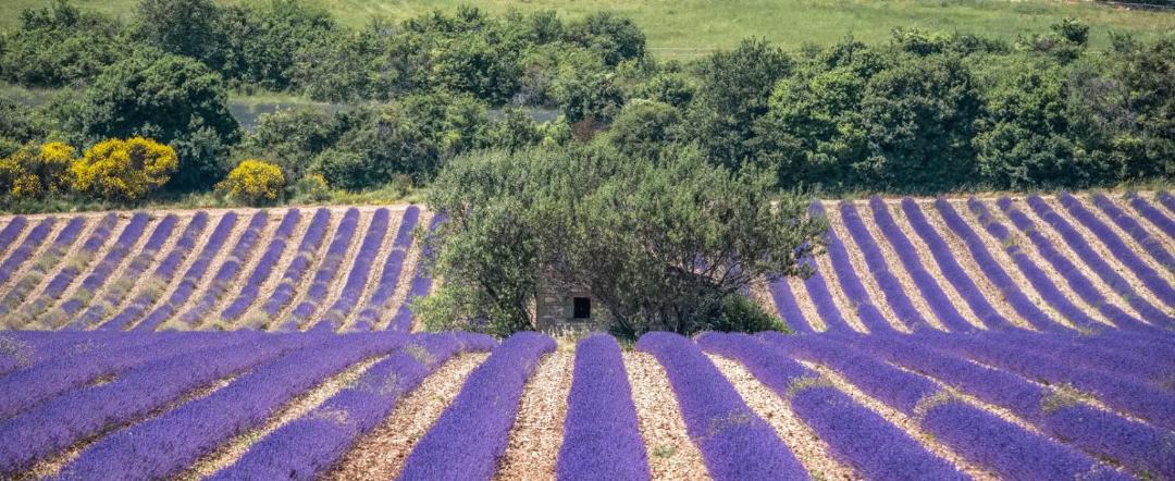 Photo of Others in Drome Sud Provence