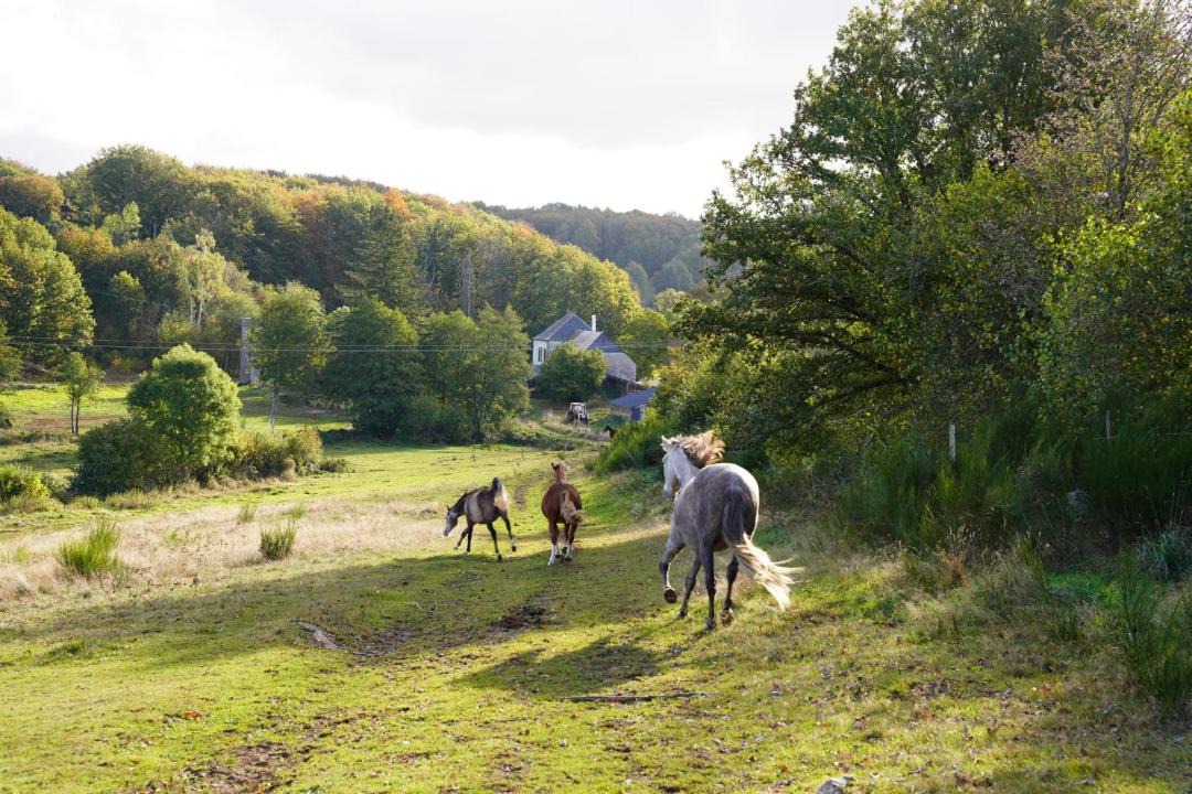 Photo of Others in Montboudif